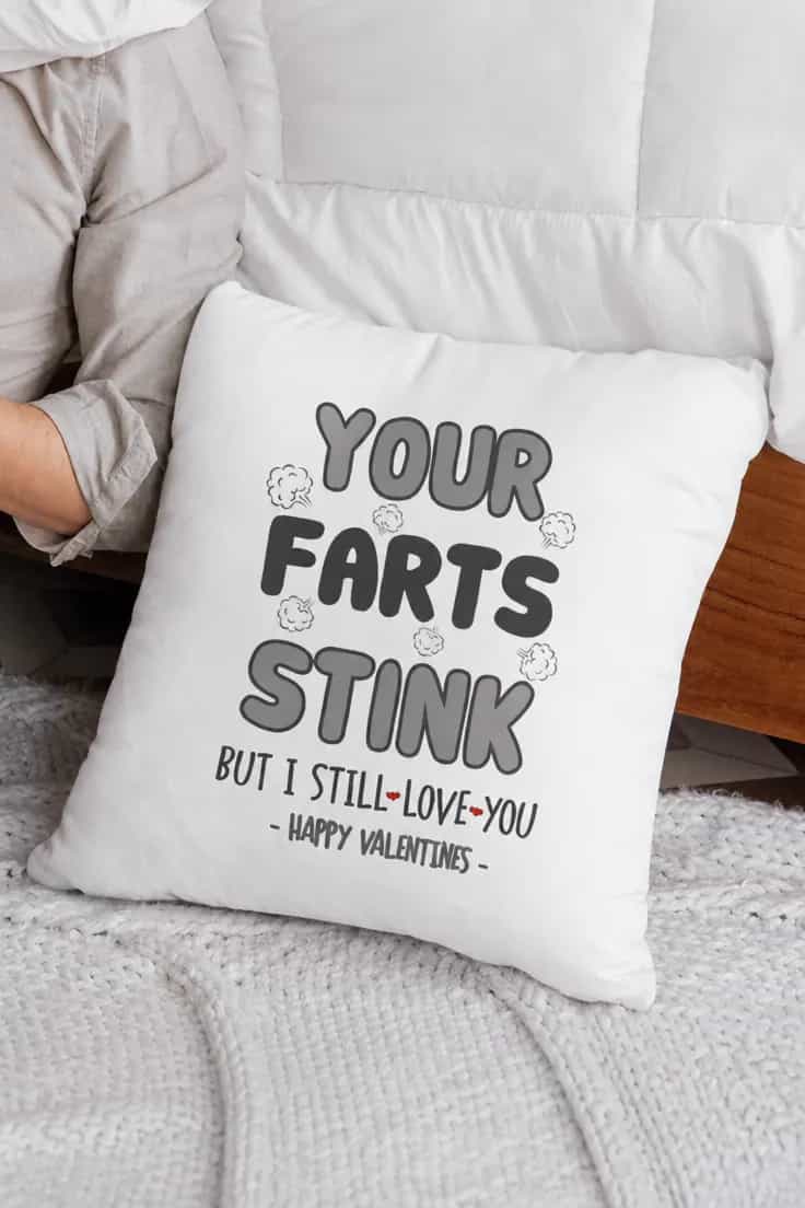 Dekorativ kudde Pruttar luktar illa – YOUR FARTS STINK