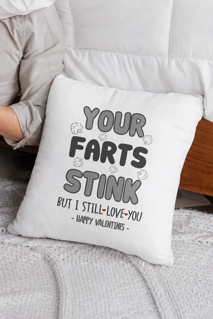 Dekorativ kudde Pruttar luktar illa – YOUR FARTS STINK